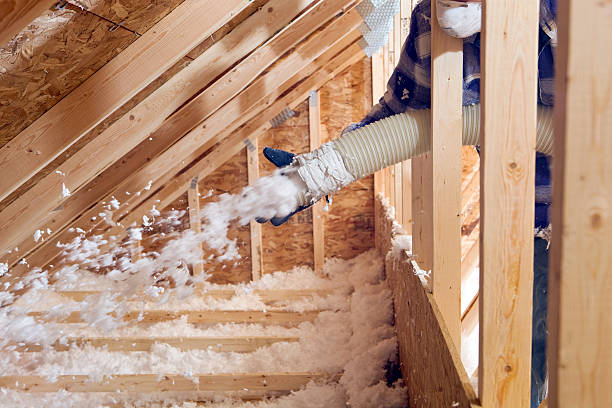 Types of Insulation We Offer in Sweetwater, TX